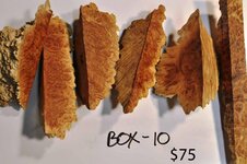 box 10b copy.jpg
