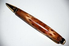 Pens - 3-30-12 #56 Coulter Pine 2.jpg