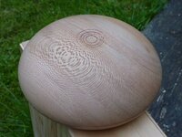 boite platane.jpg