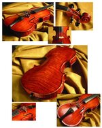 violin web.jpg