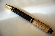 Pens - 5-2-12 #70 Markham Wine Cork over Sting Ray 2.jpg