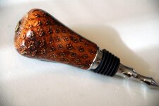 Pens - 5-2-12 #65 Coulter Pine Cone Stopper 1.jpg