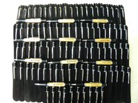 ROM Loblolly Pine.jpg