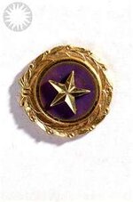Gold Star Pin.jpg