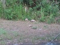 2012-05-20 19.16.14.jpg