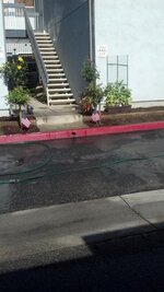 Walkway after clean up.jpg