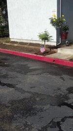 left side after cleanup.jpg