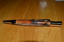 pen1.jpg