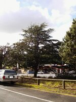 PIC00144b.jpg