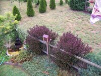 Feeder 1 6-29-2012 7-42-11 AM.jpg