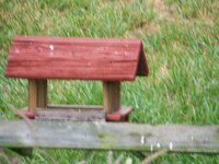 feeder 3 6-29-2012 7-42-50 AM.jpg