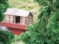 feeder 4 6-29-2012 7-43-00 AM.jpg