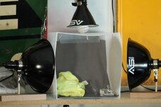 IMG_0154_1.jpg