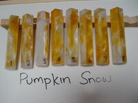 Pumpkin snow.jpg