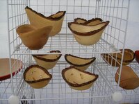 DSCN0193.jpg