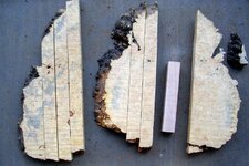 box elder burl1b.jpg