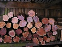 The Wood Store   13.jpg