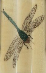 Dragonfly.jpg