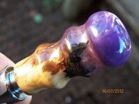 100_2618z.jpg