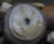 DSC_0109.jpg