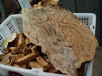 timber preparation 106_(1).jpg