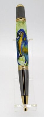 Blue-Macaw.jpg