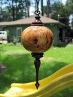 IMG_2451.jpg