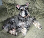 IMG_6076 (Small).JPG