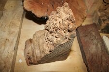 IMG_3537.JPG