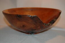 pinecone 024.jpg