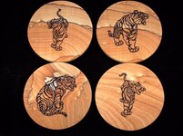 Sedona tigers 2.jpg