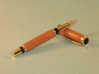 P229a_800x600.JPG