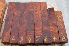 cocobolo burl 1.jpg