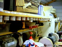 DSCN0729.jpg