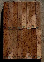 Red Elm Burl Pen Blanks.jpg
