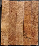 7mapleburl.JPG
