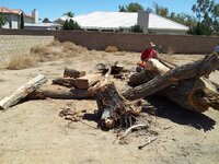 2012-08-25 12.33.18.jpg
