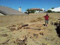 2012-08-25 15.37.41.jpg