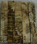 Spalted Flame Maple.jpg