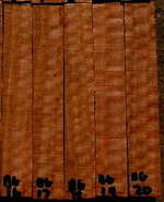 Blue Gum 1.jpg