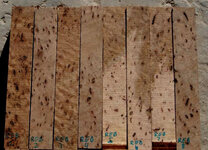 Red Elm Burl.jpg