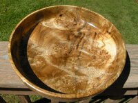 DSCN4538.jpg