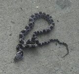 snake by the door.jpg