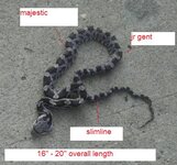 snake by the door with dimensions.jpg