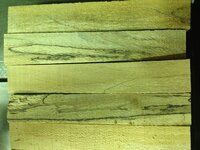 Spalted Sycamore1.jpg