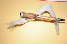 BOW_antler_01.JPG
