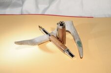 BOW_antler_03.JPG