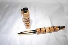 ALASKAN SPALTED BIRCH_01.jpg