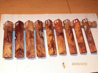 #33 Burl stabilised 19 to 27.jpg