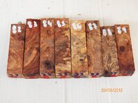 #33 Burl stabilised shorts 82 to 89.jpg